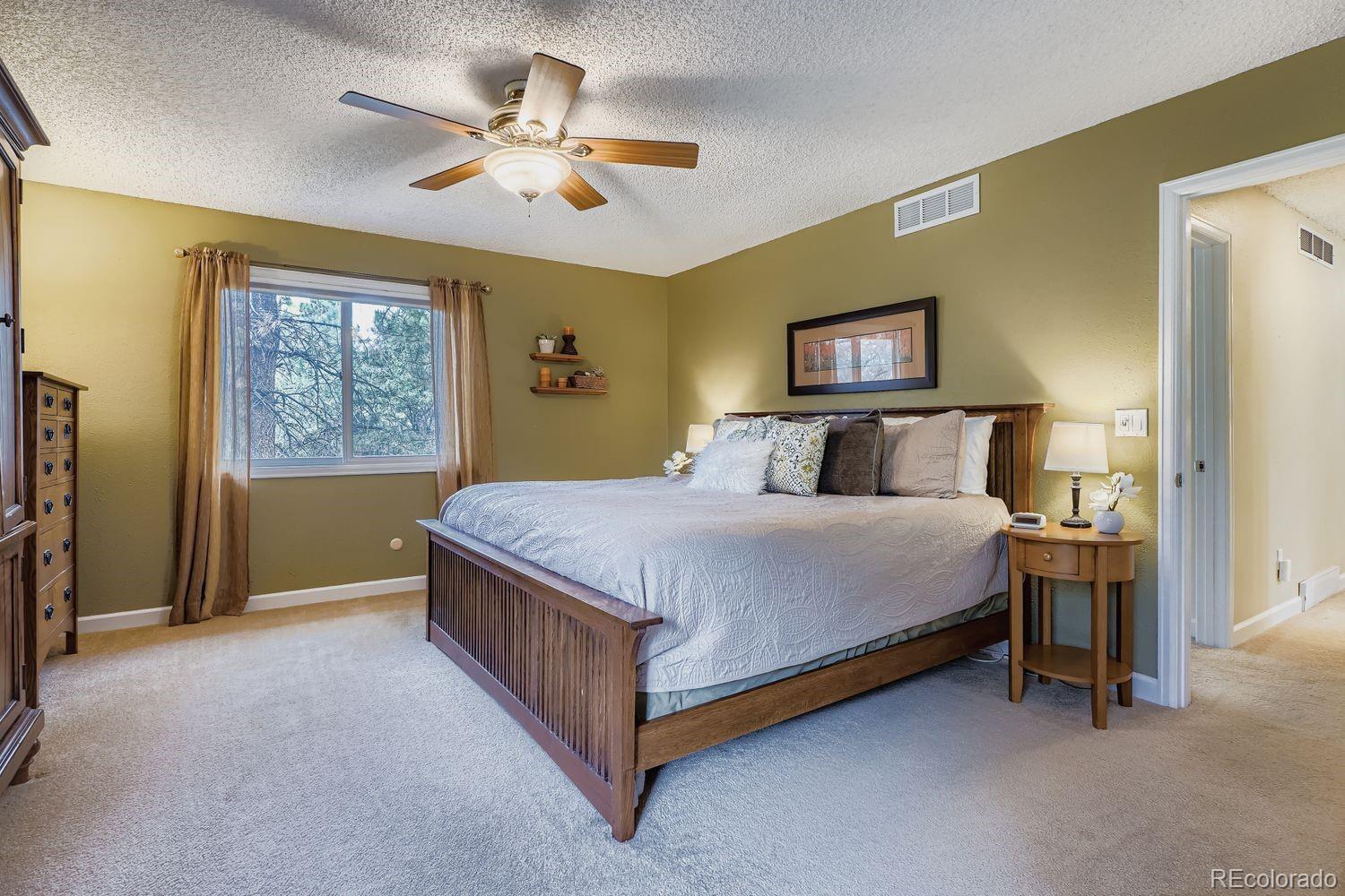 MLS Image #16 for 6171  hurricane court,parker, Colorado