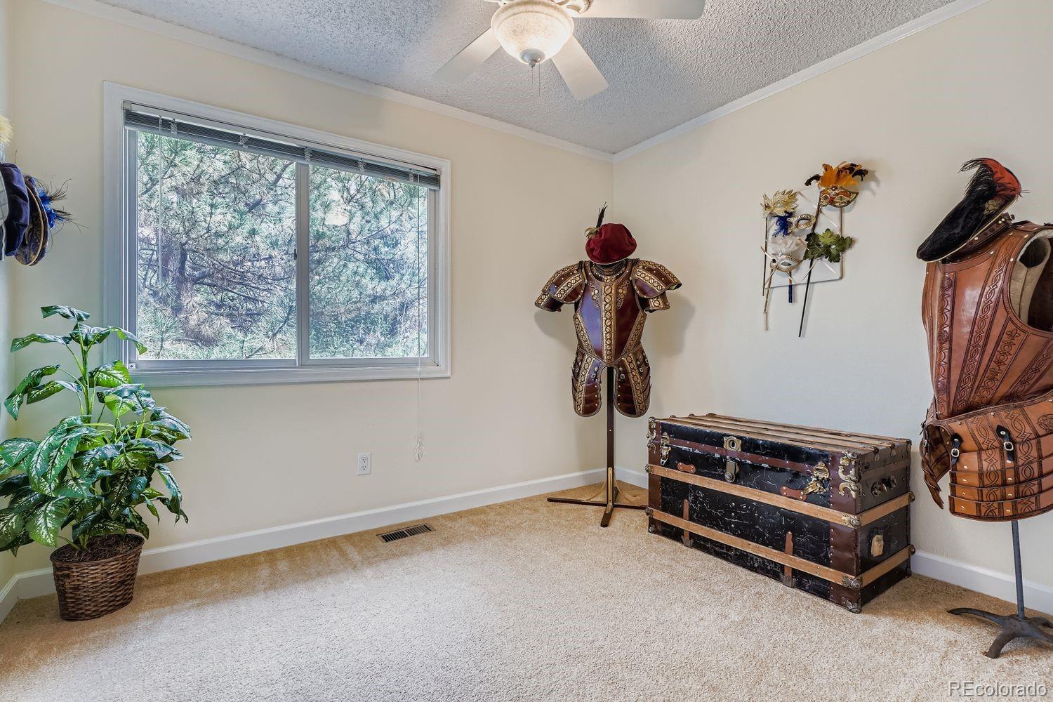 MLS Image #22 for 6171  hurricane court,parker, Colorado