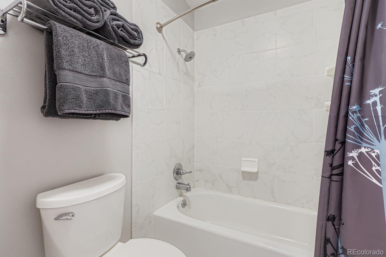 MLS Image #23 for 6171  hurricane court,parker, Colorado