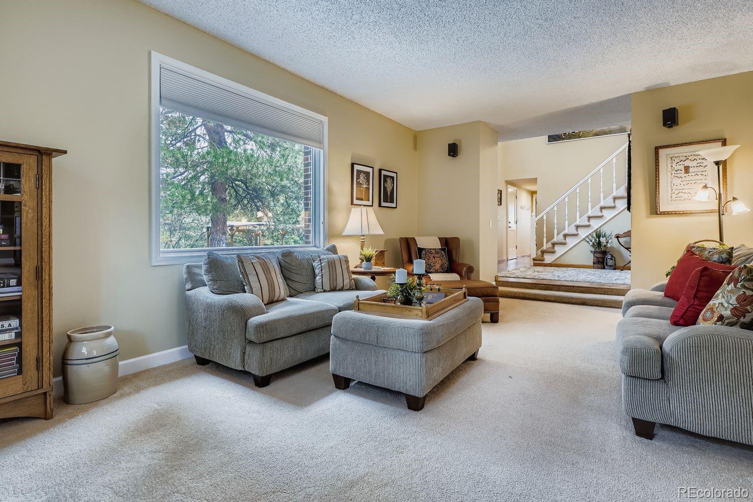 MLS Image #6 for 6171  hurricane court,parker, Colorado