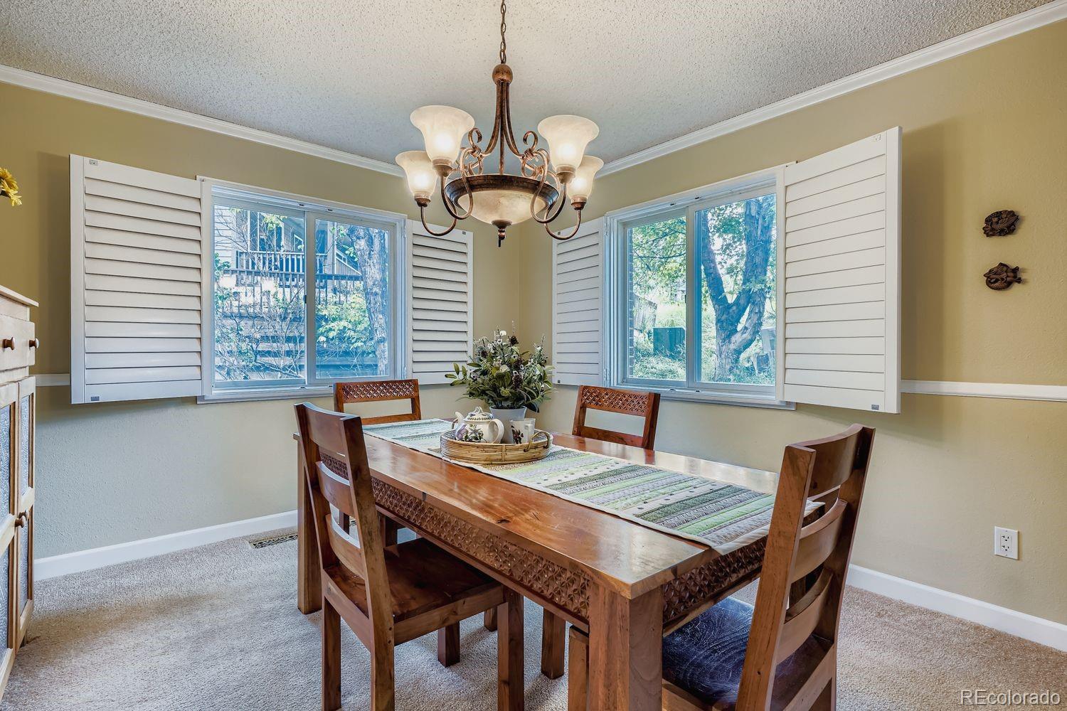 MLS Image #7 for 6171  hurricane court,parker, Colorado
