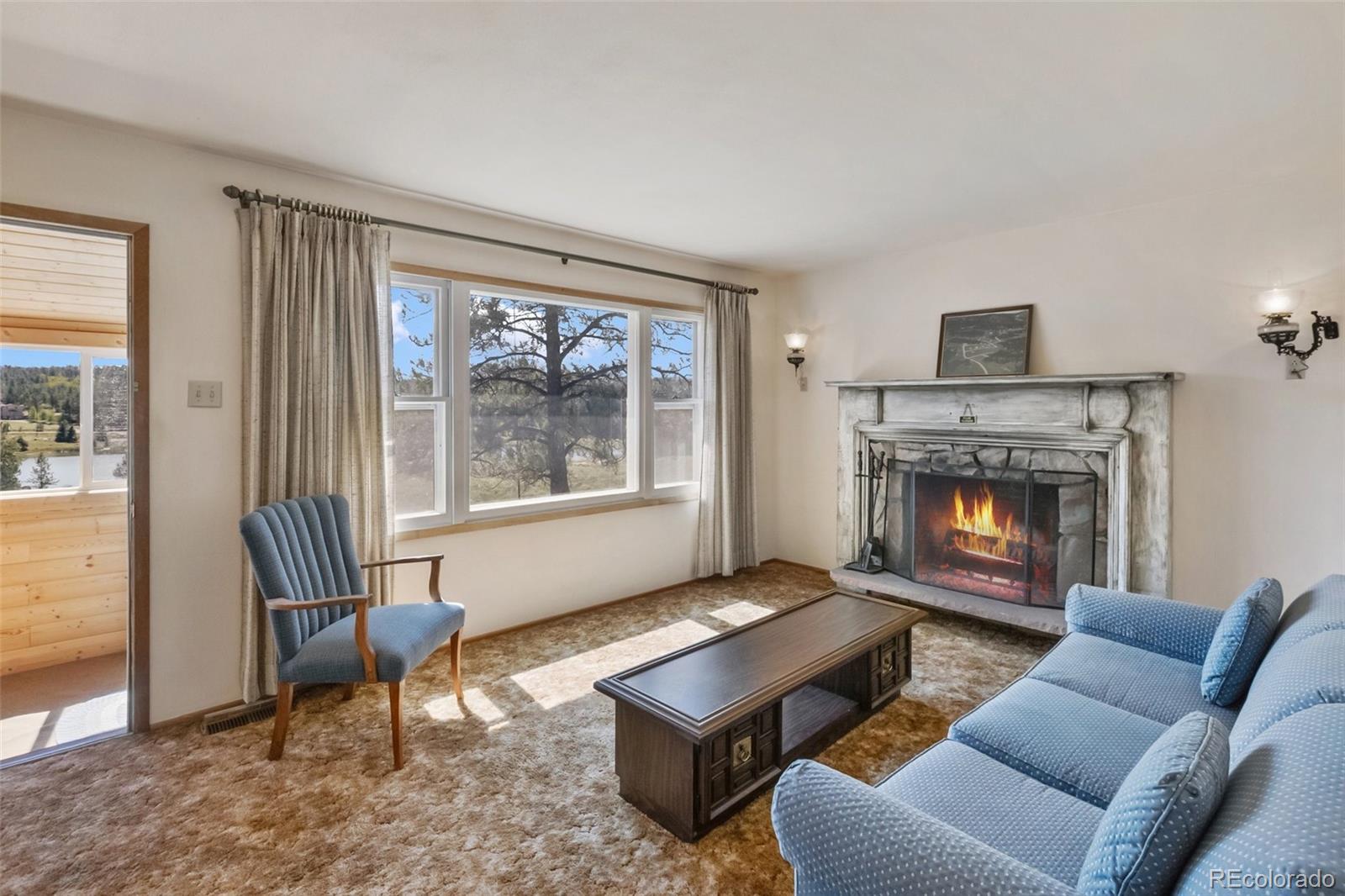 MLS Image #11 for 44  remuda lane,florissant, Colorado