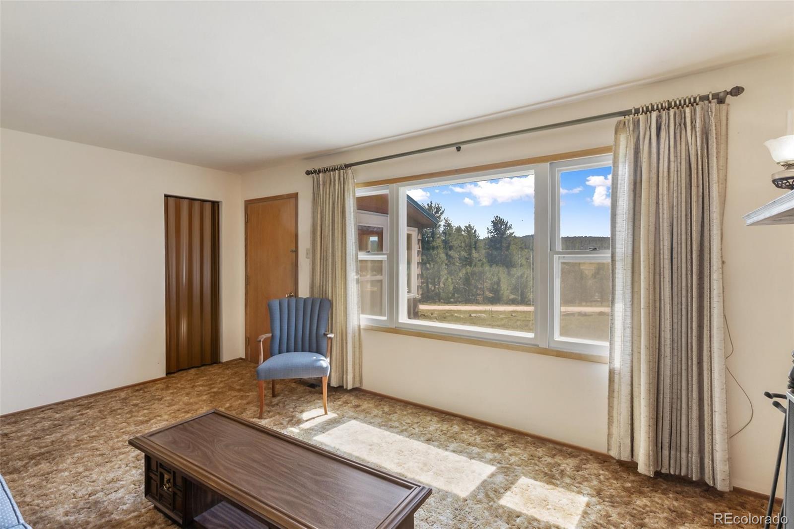 MLS Image #13 for 44  remuda lane,florissant, Colorado