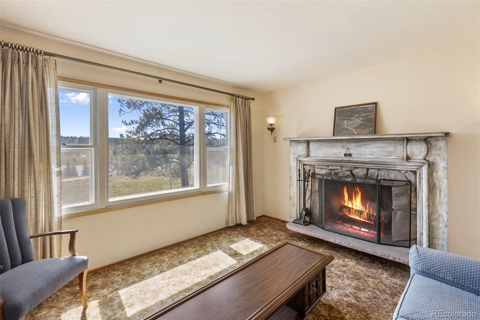 MLS Image #14 for 44  remuda lane,florissant, Colorado