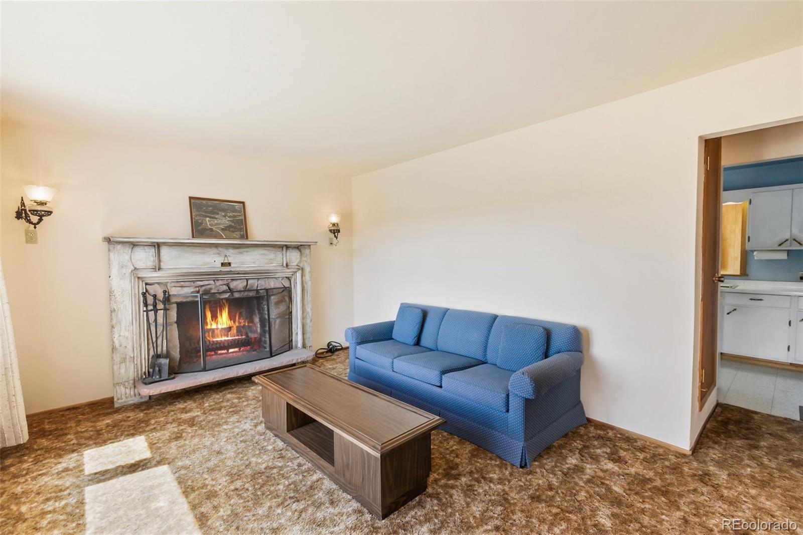 MLS Image #15 for 44  remuda lane,florissant, Colorado