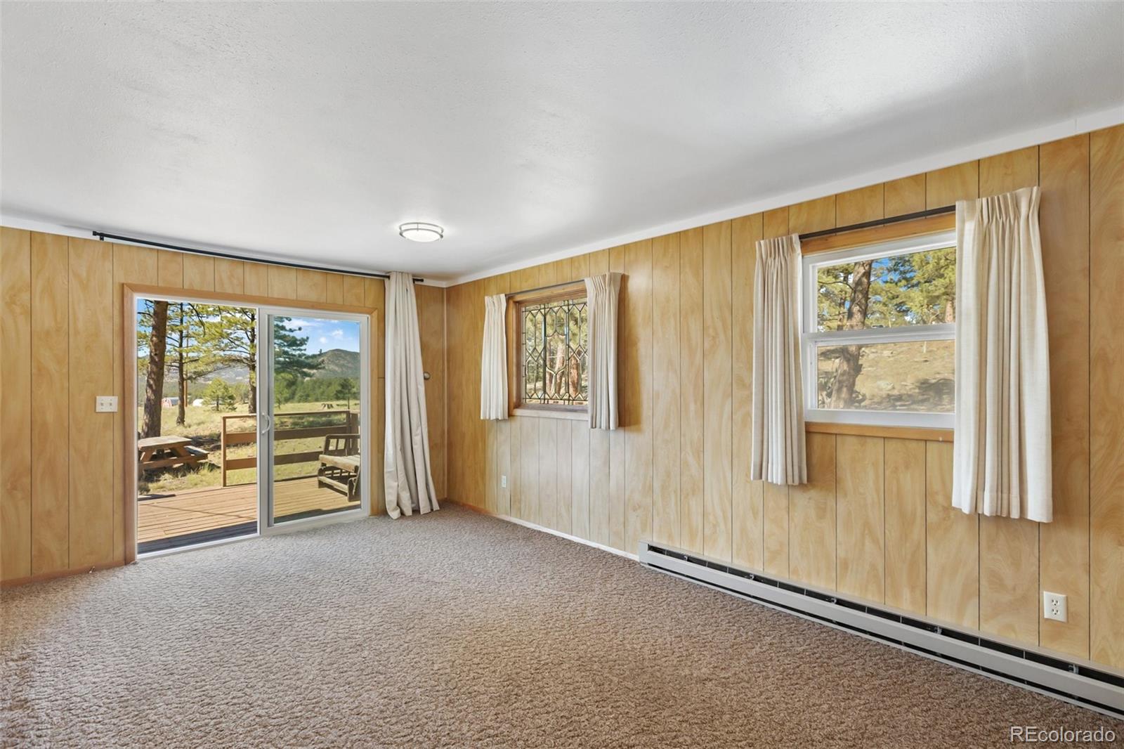 MLS Image #18 for 44  remuda lane,florissant, Colorado