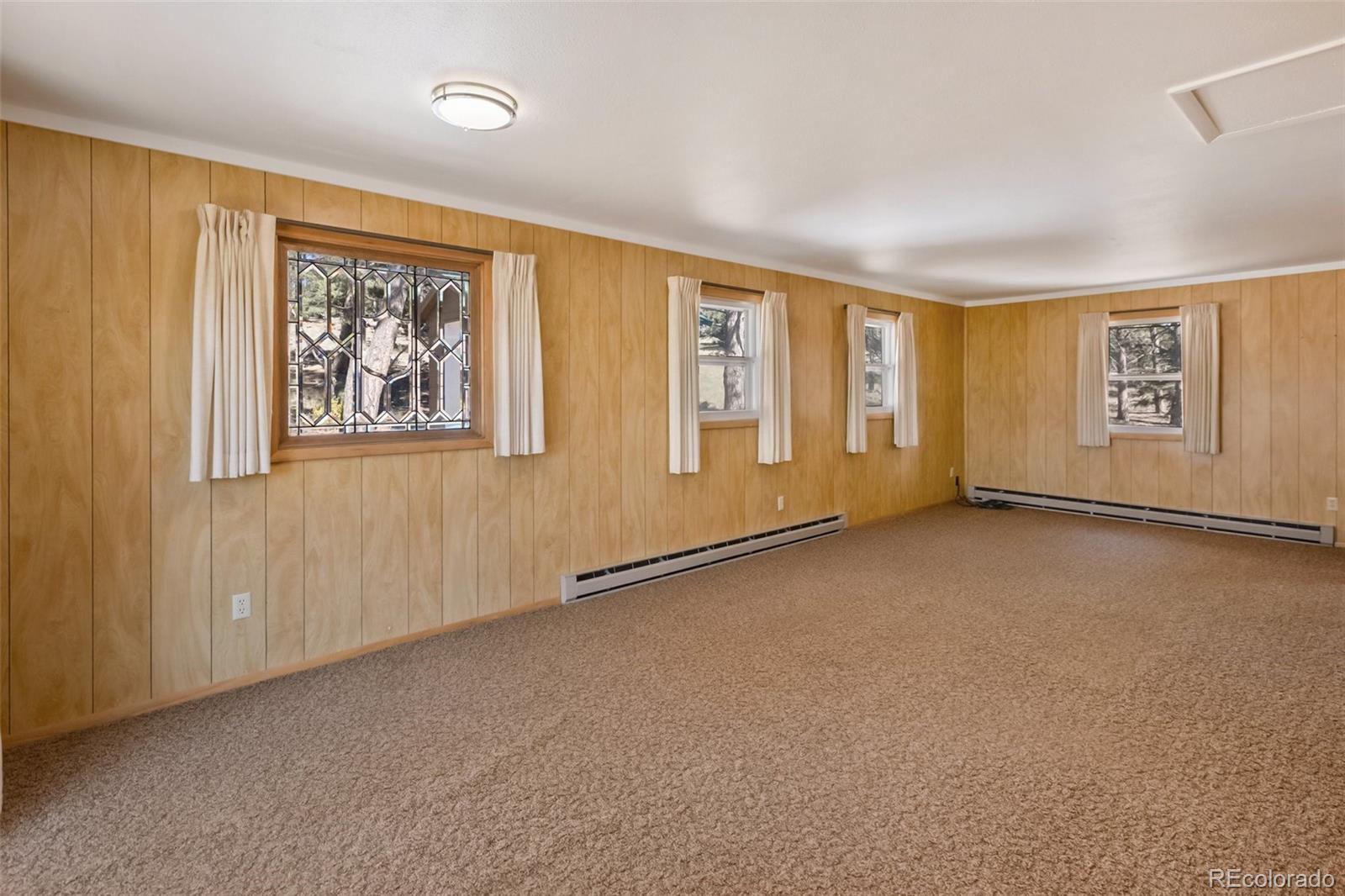 MLS Image #21 for 44  remuda lane,florissant, Colorado