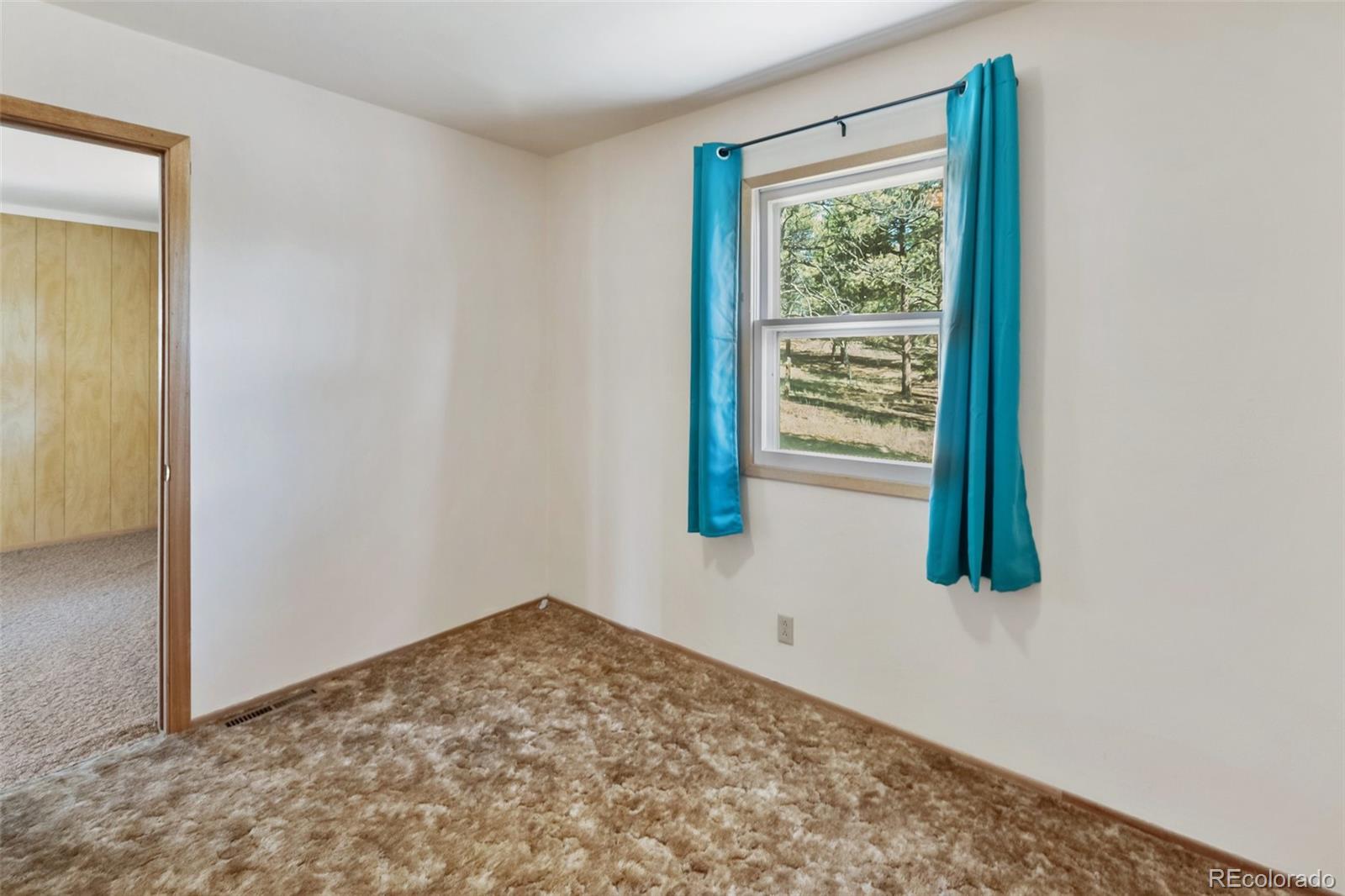 MLS Image #23 for 44  remuda lane,florissant, Colorado