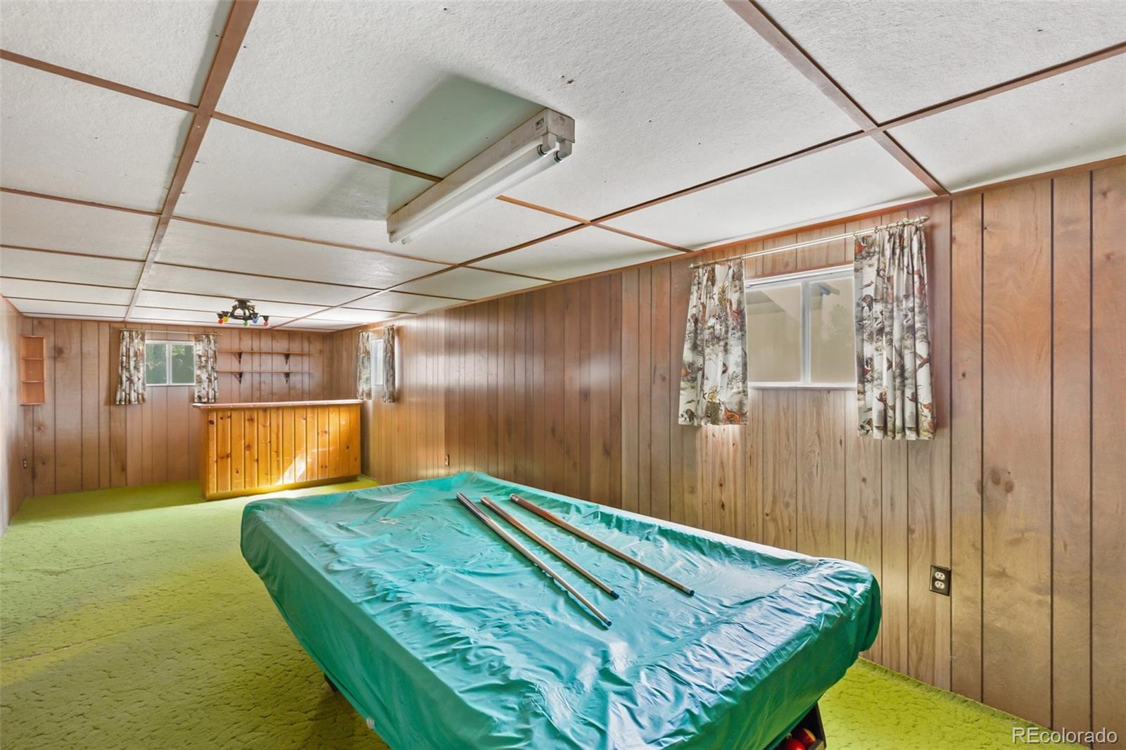 MLS Image #29 for 44  remuda lane,florissant, Colorado