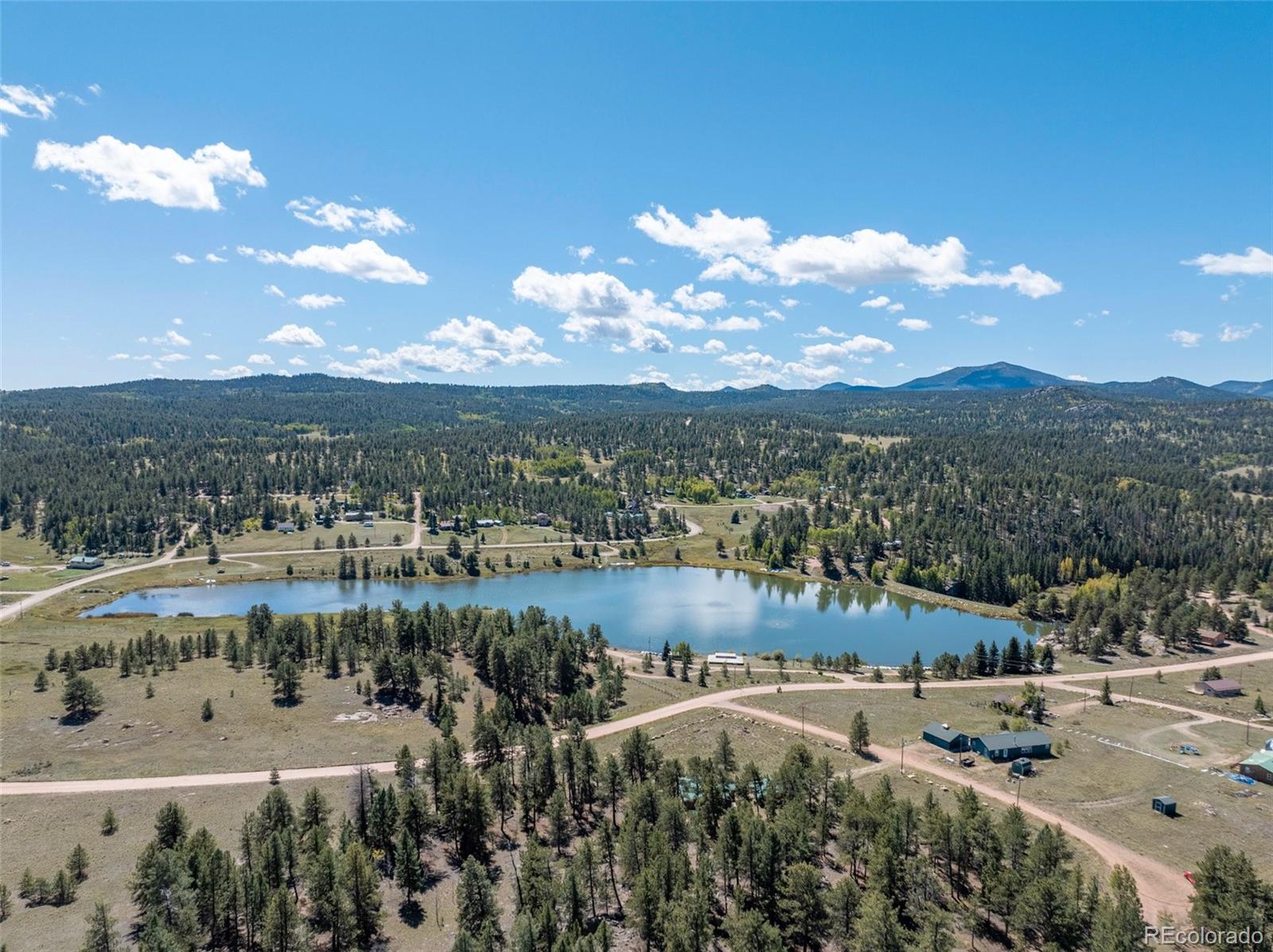 MLS Image #3 for 44  remuda lane,florissant, Colorado