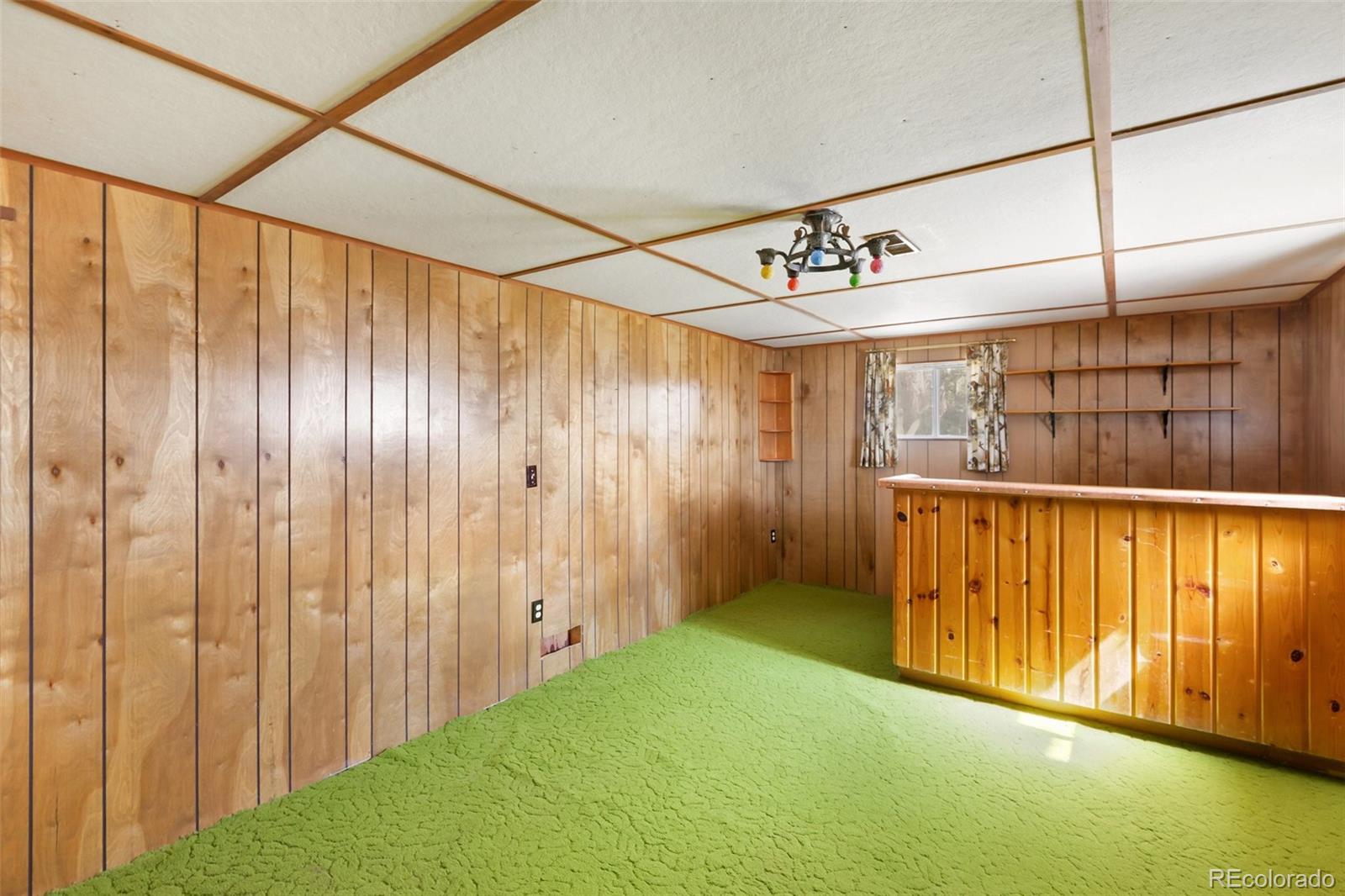 MLS Image #30 for 44  remuda lane,florissant, Colorado