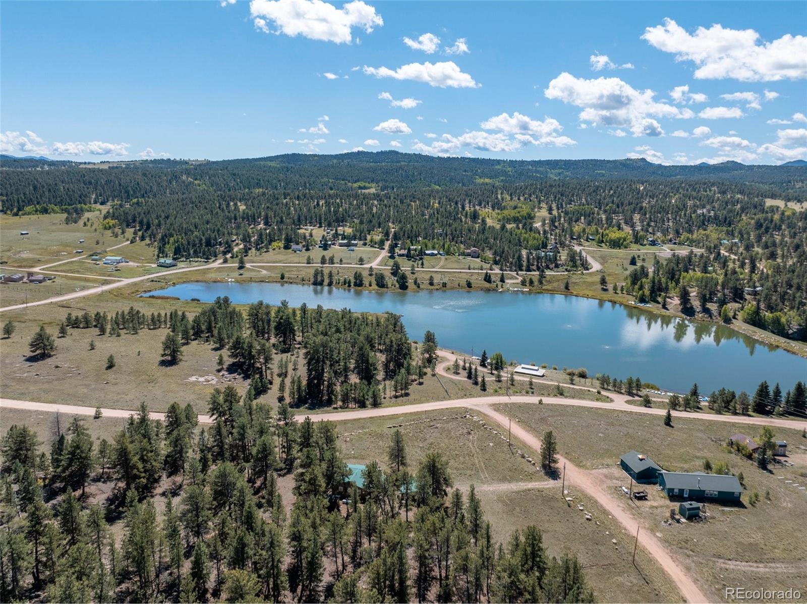 MLS Image #5 for 44  remuda lane,florissant, Colorado