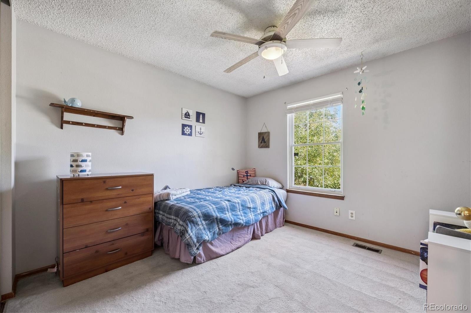 MLS Image #13 for 12065  ivanhoe court,brighton, Colorado