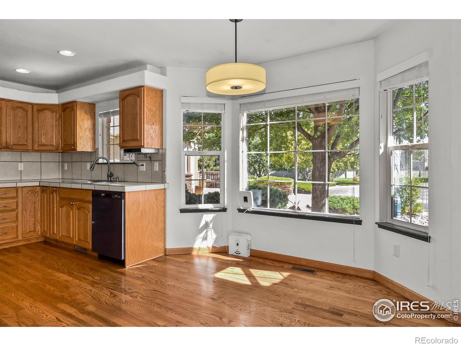 MLS Image #11 for 205  timber ridge court,severance, Colorado