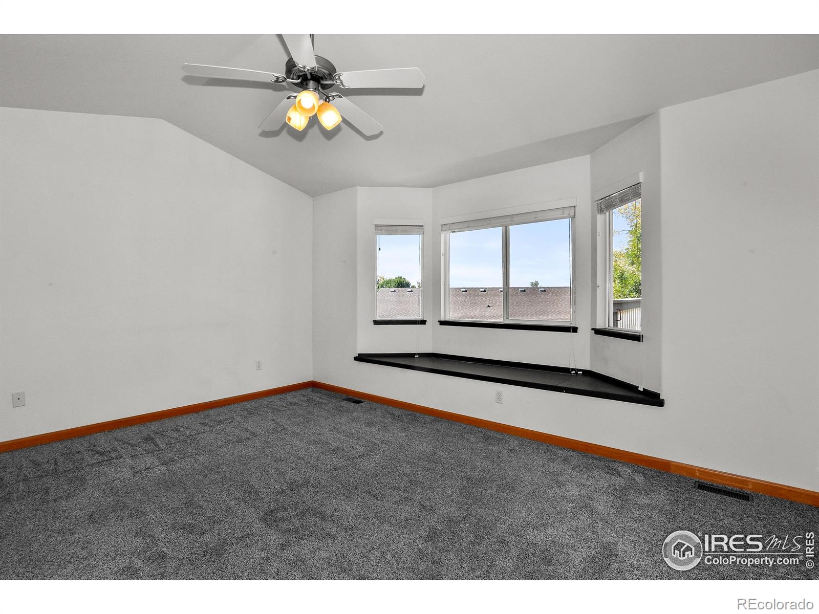 MLS Image #19 for 205  timber ridge court,severance, Colorado