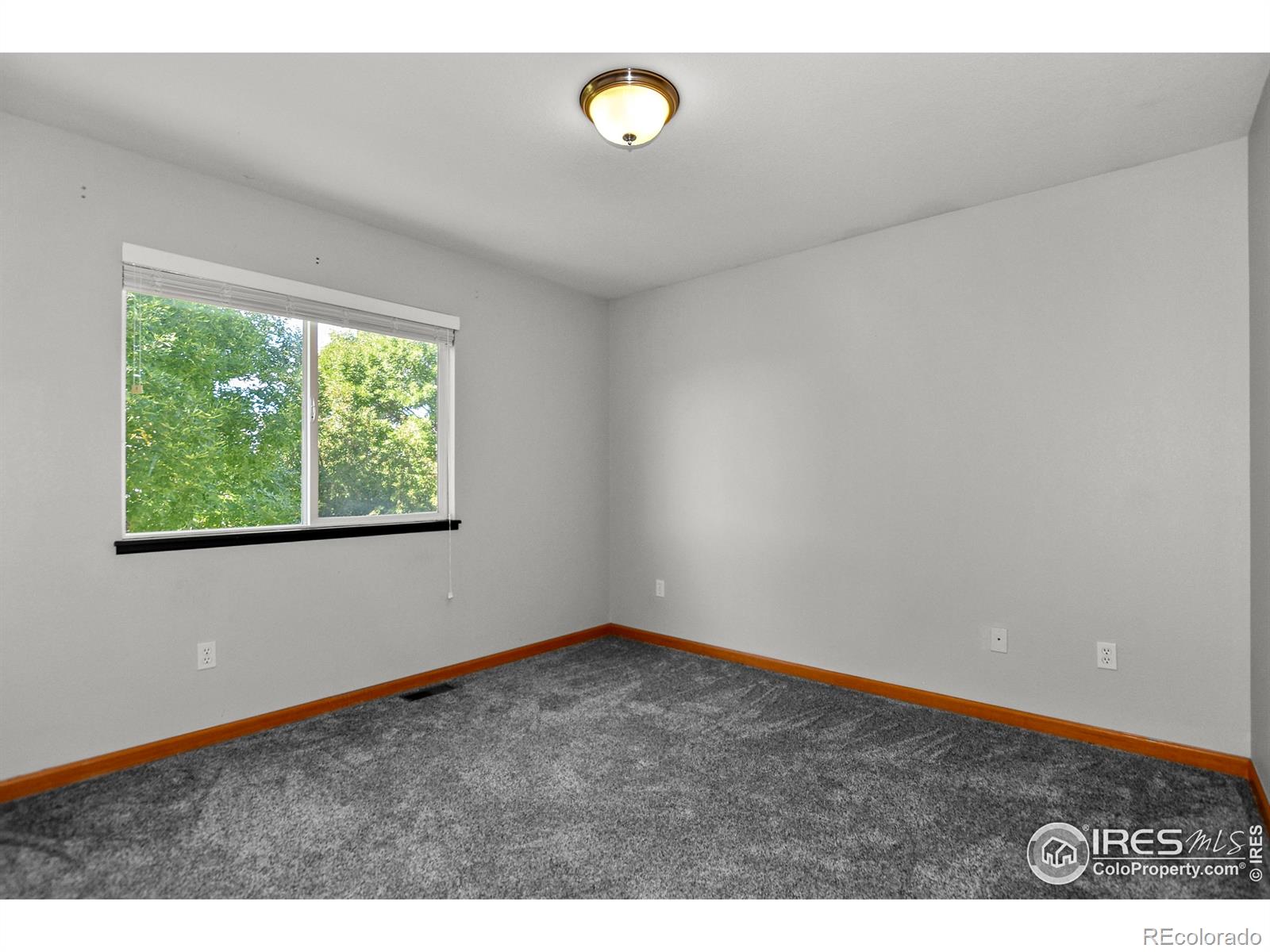 MLS Image #20 for 205  timber ridge court,severance, Colorado