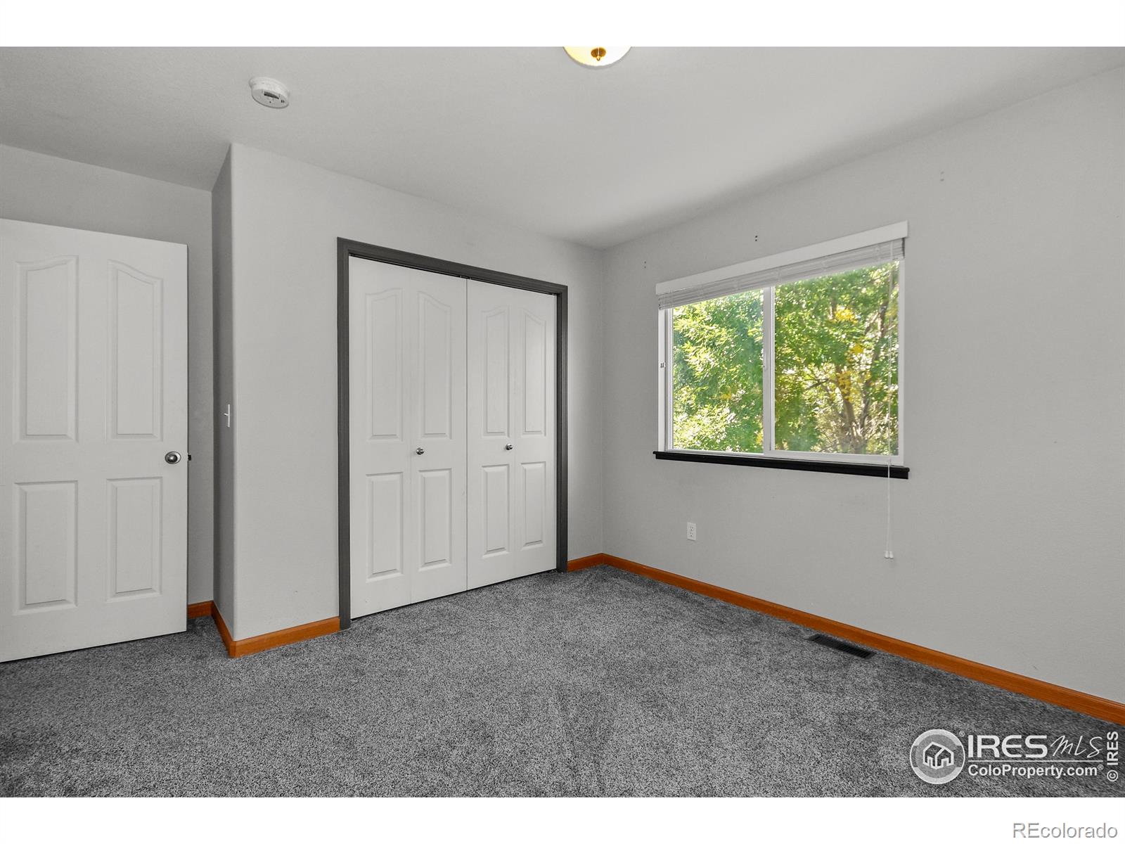 MLS Image #22 for 205  timber ridge court,severance, Colorado