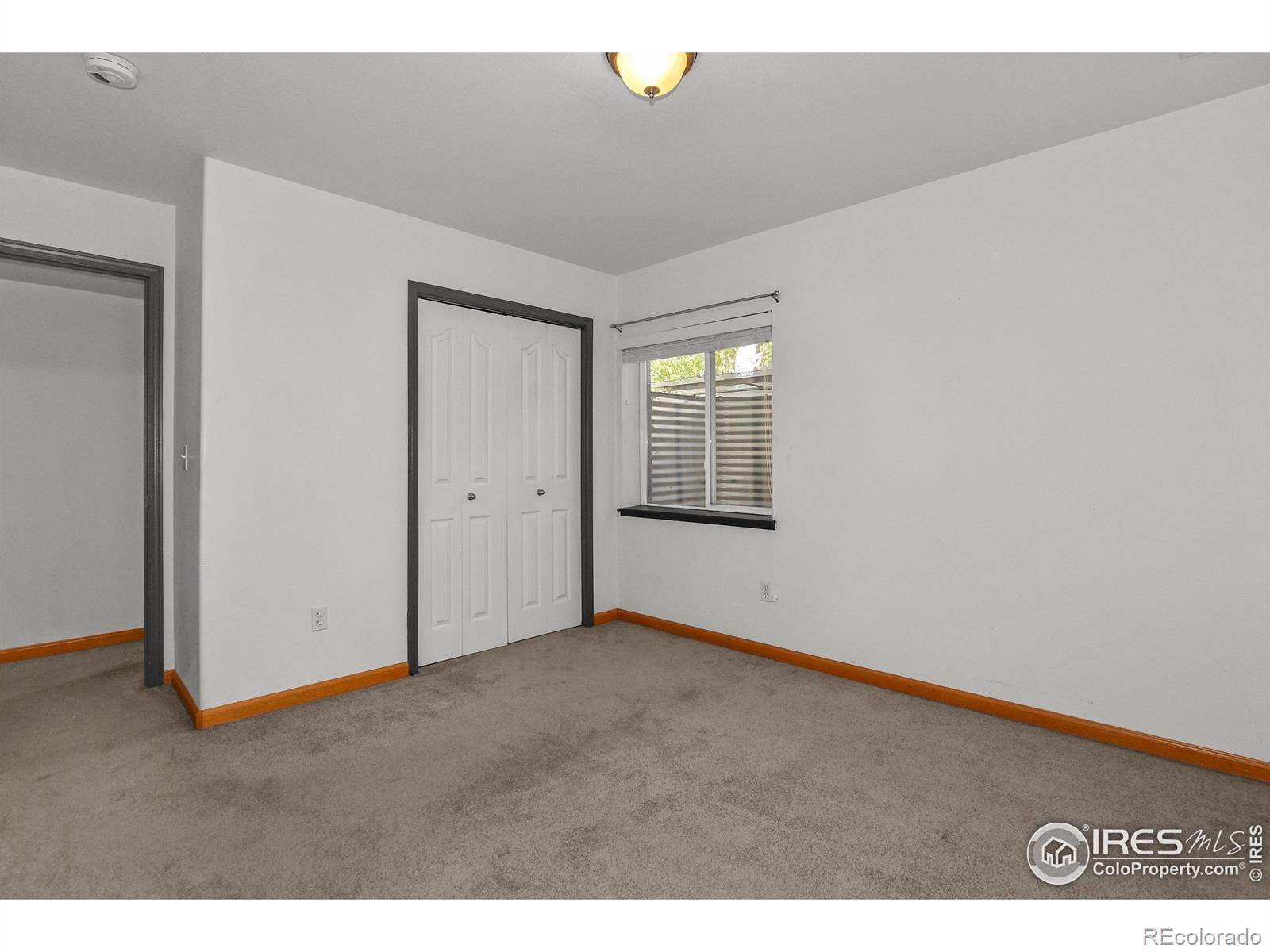 MLS Image #29 for 205  timber ridge court,severance, Colorado