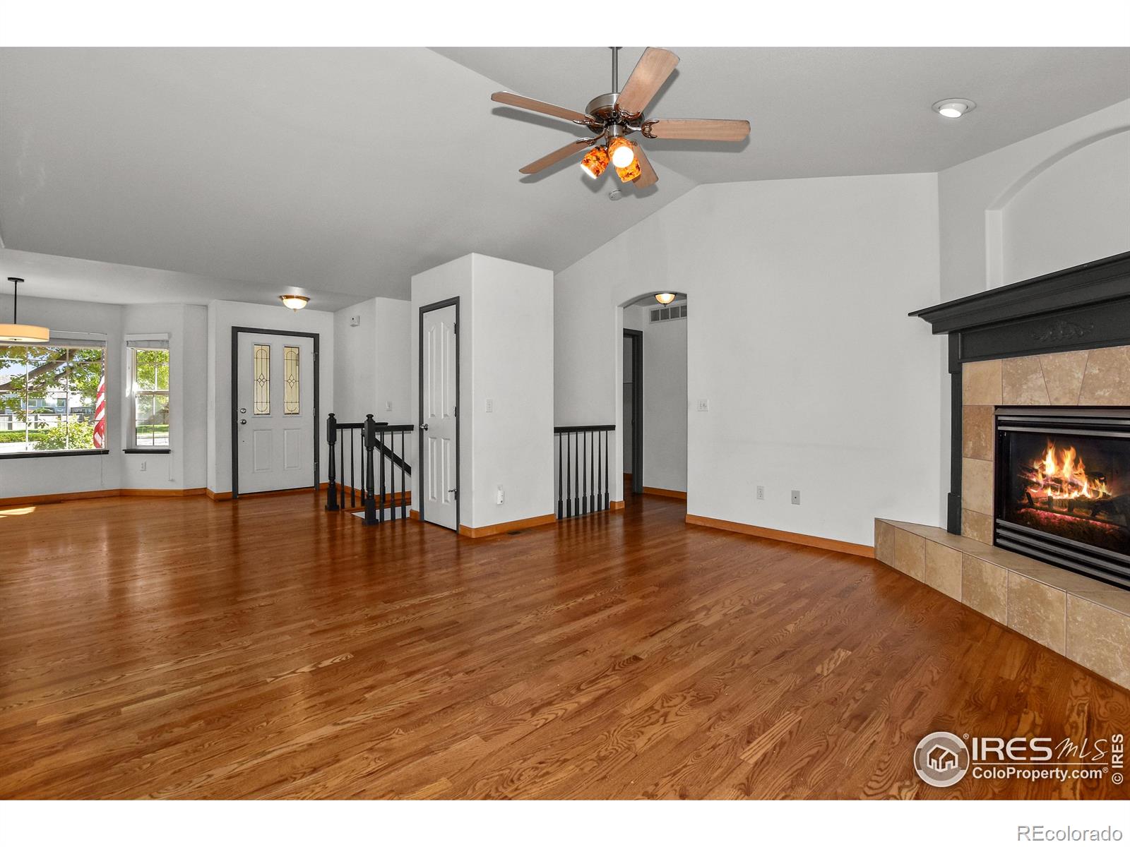 MLS Image #4 for 205  timber ridge court,severance, Colorado