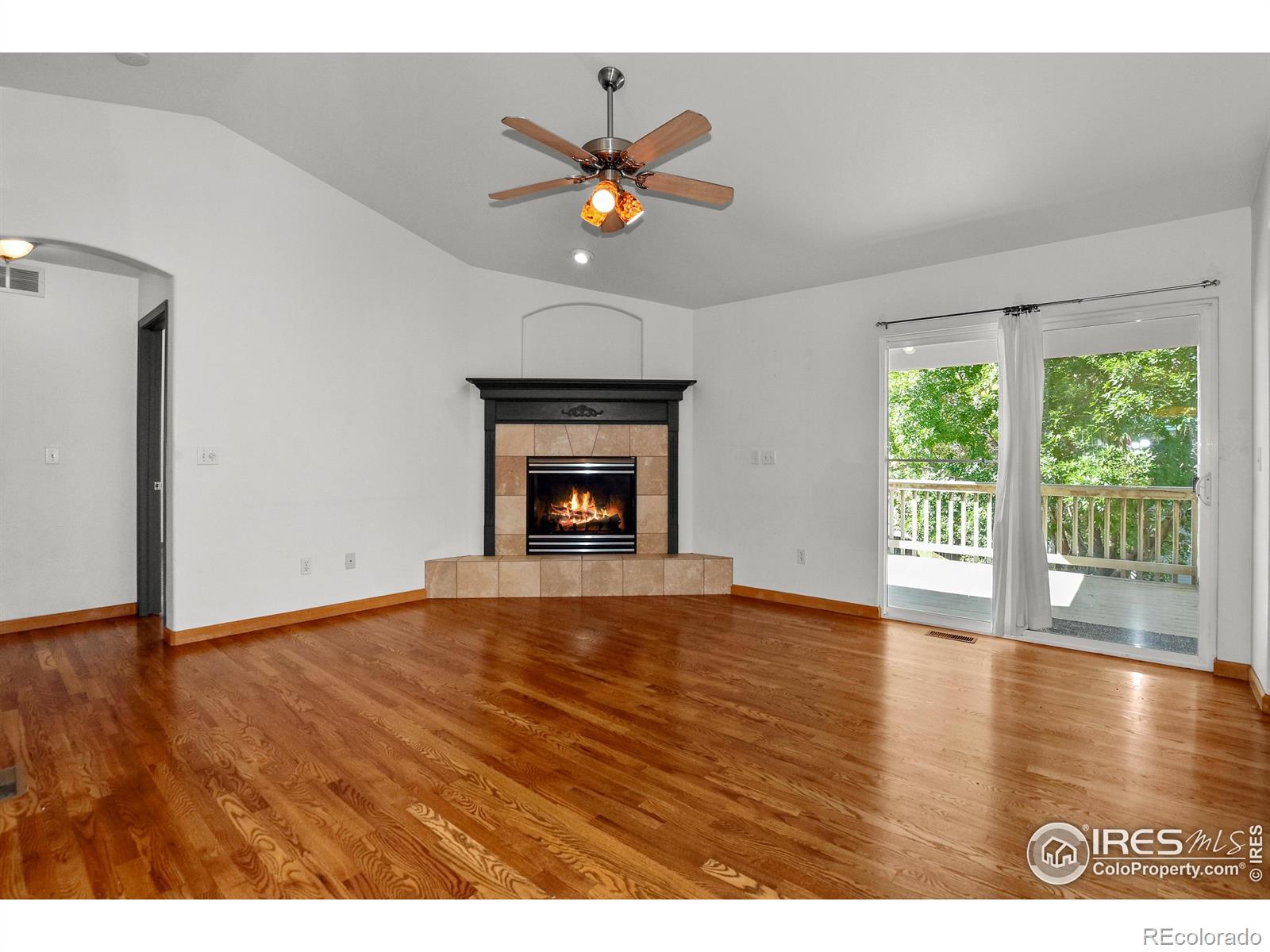 MLS Image #5 for 205  timber ridge court,severance, Colorado