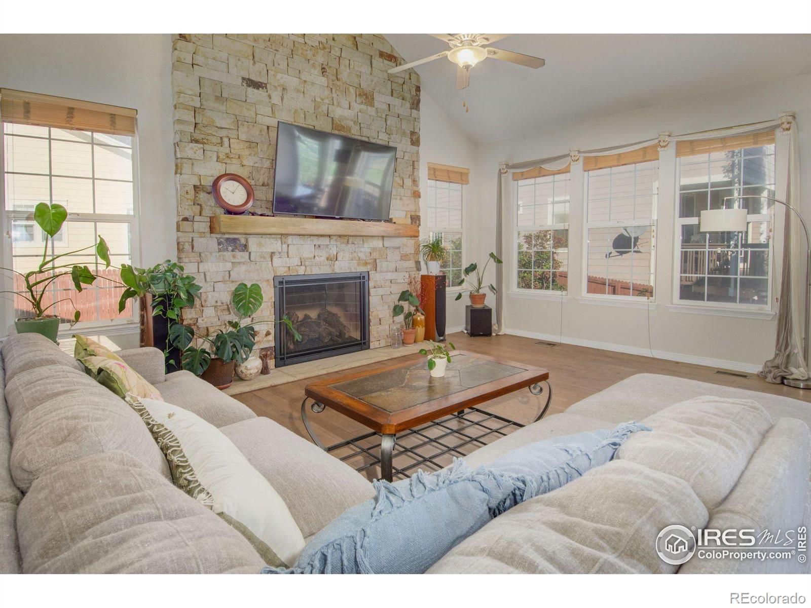 MLS Image #17 for 508  ashford drive,longmont, Colorado