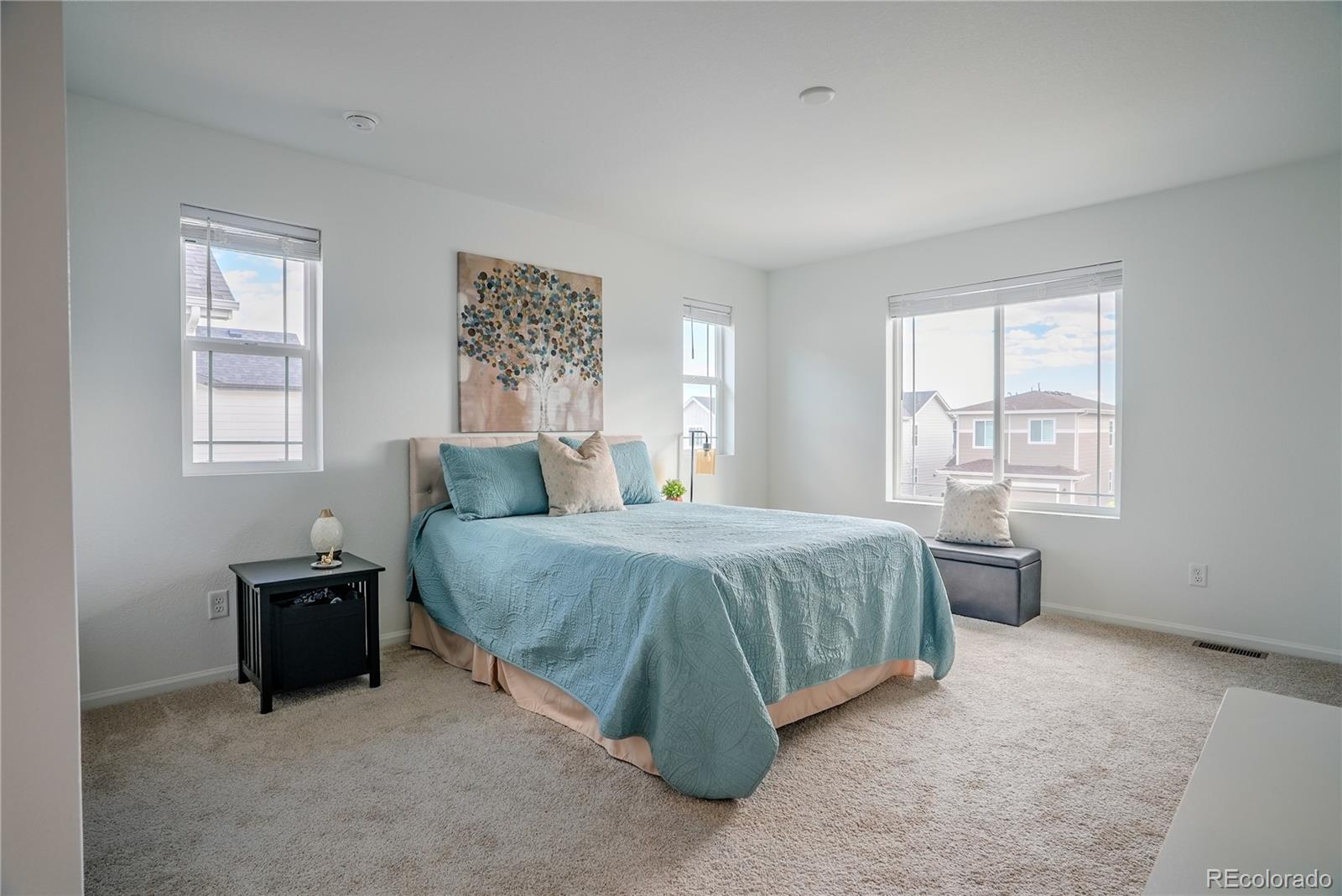 MLS Image #13 for 2266  prairie smoke drive,monument, Colorado