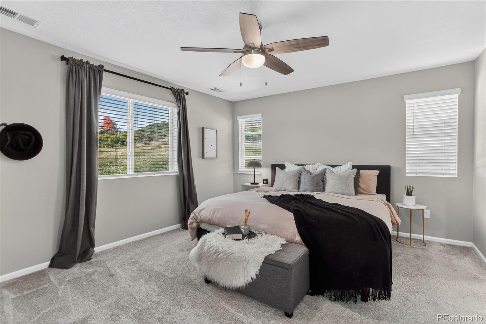 MLS Image #17 for 1652  cade avenue,castle rock, Colorado