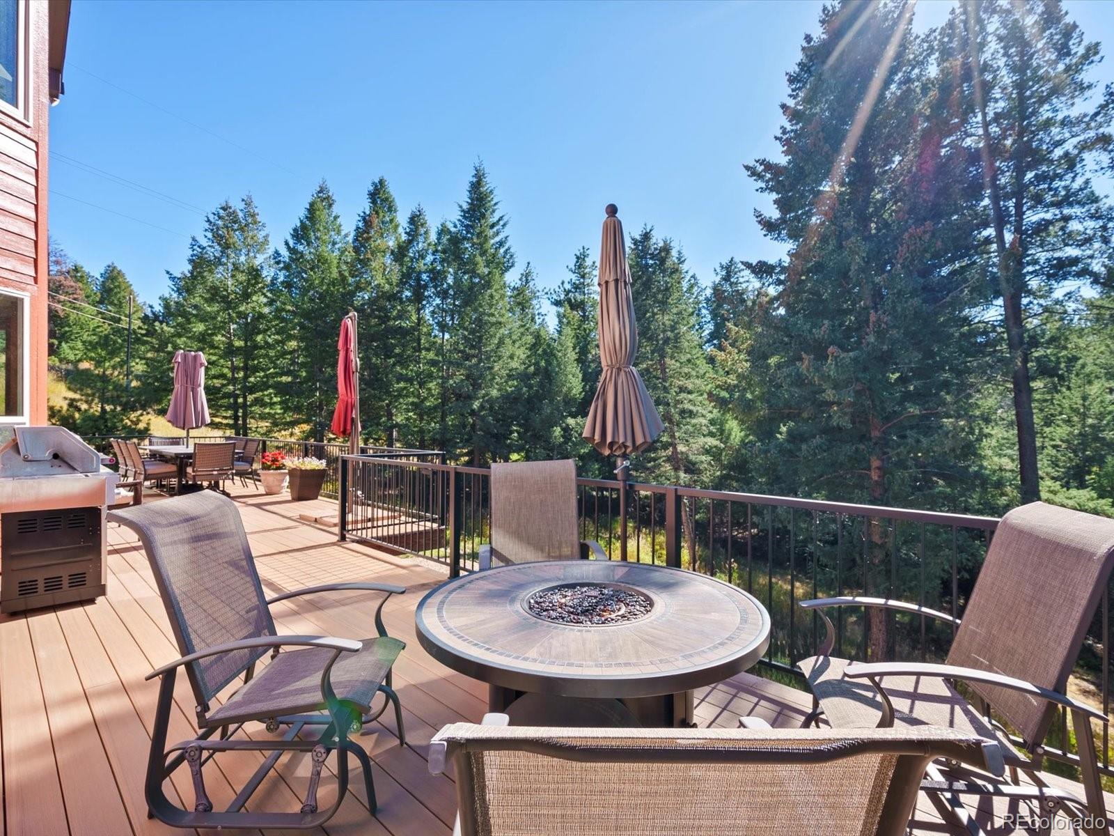 MLS Image #24 for 20906  horse bit way,morrison, Colorado