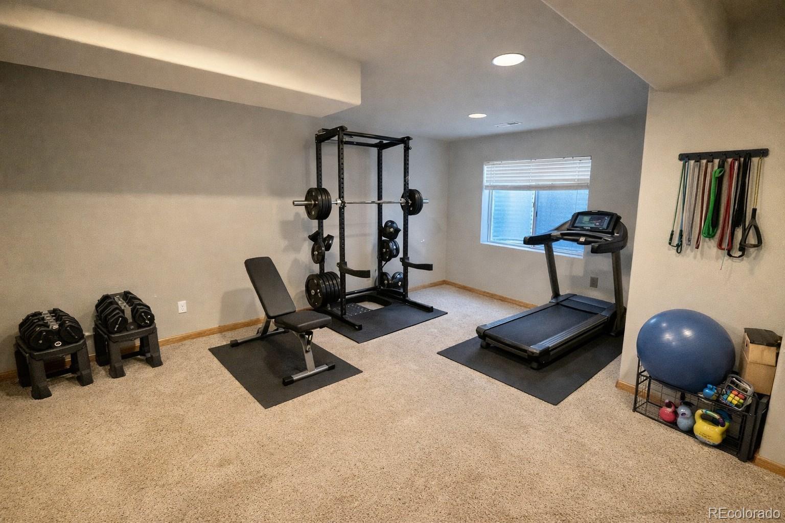 MLS Image #26 for 469  stellars jay drive,highlands ranch, Colorado