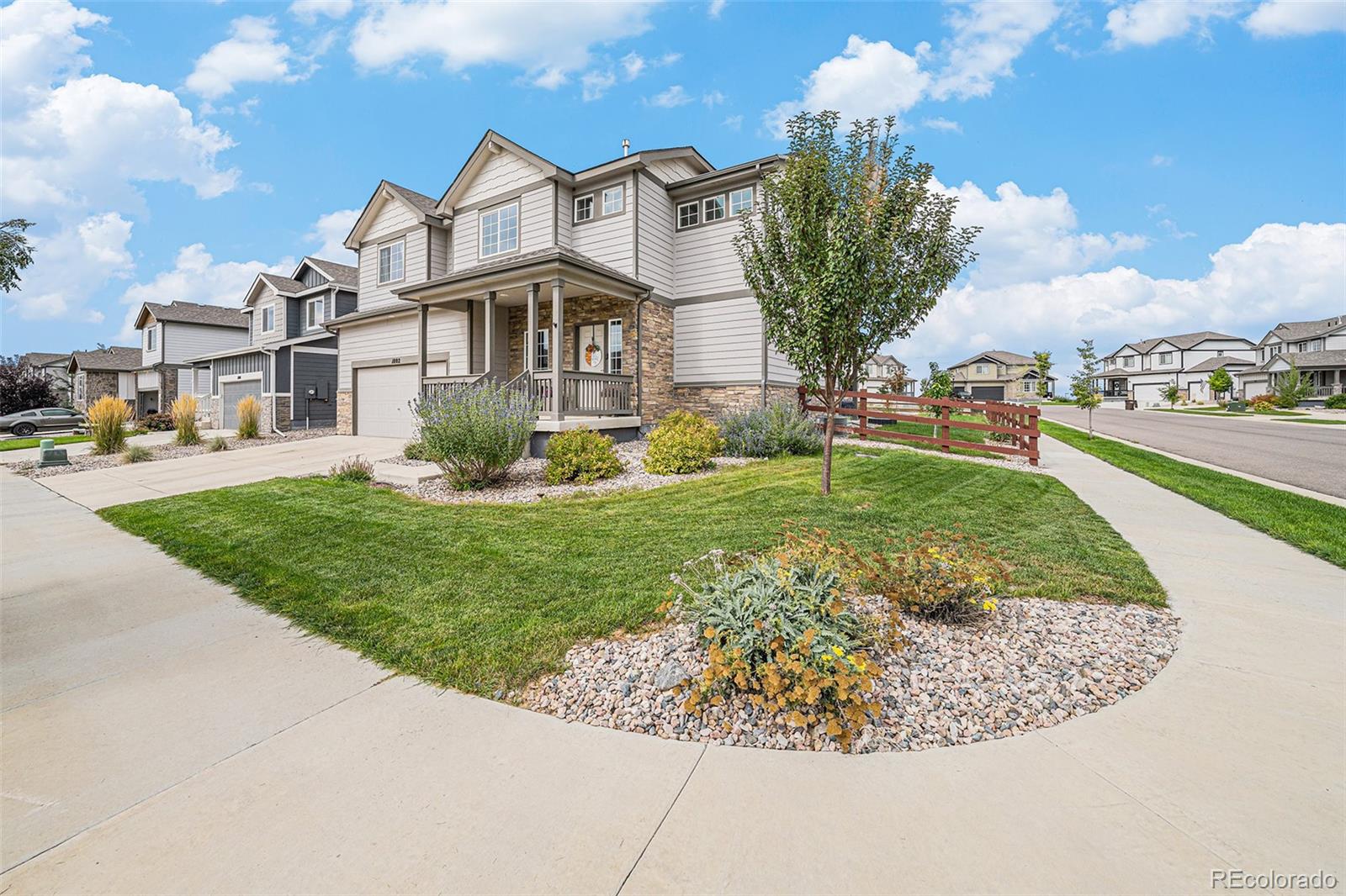 MLS Image #1 for 1802  rise drive,windsor, Colorado