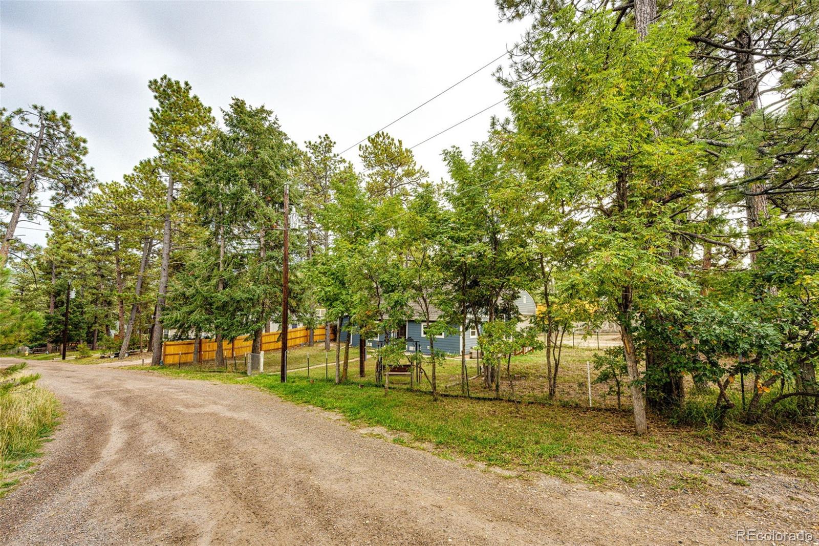 MLS Image #3 for 9273  curtis road,larkspur, Colorado