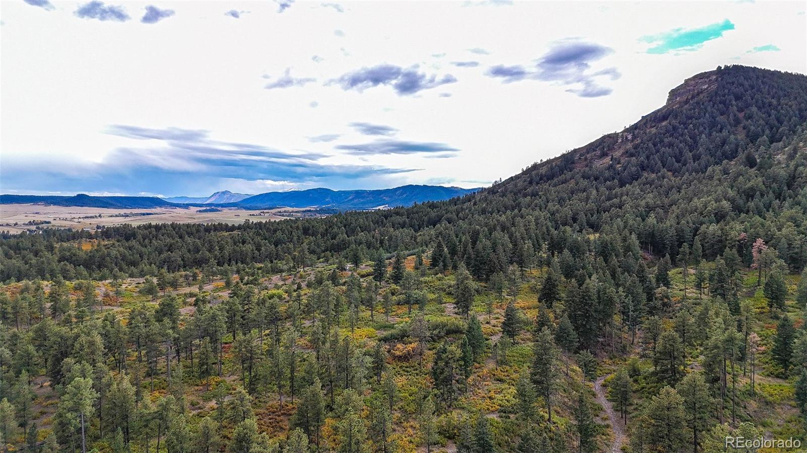 MLS Image #41 for 9273  curtis road,larkspur, Colorado
