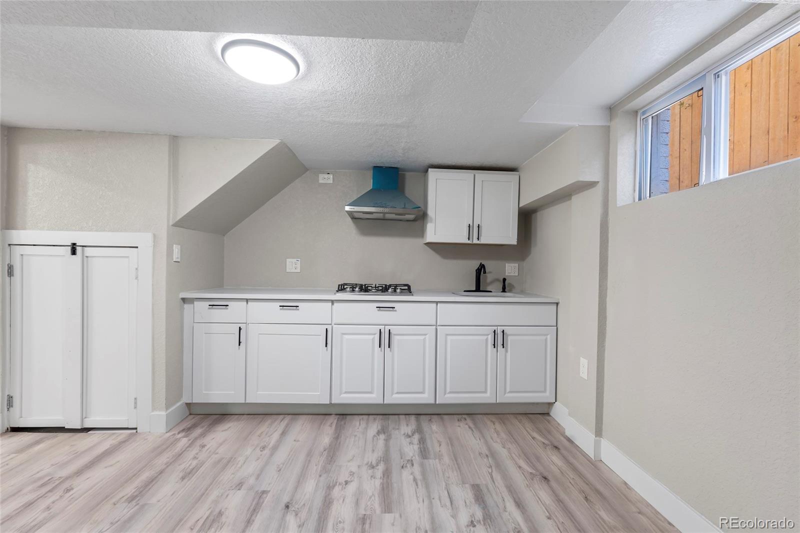 MLS Image #22 for 4751  vine street,denver, Colorado