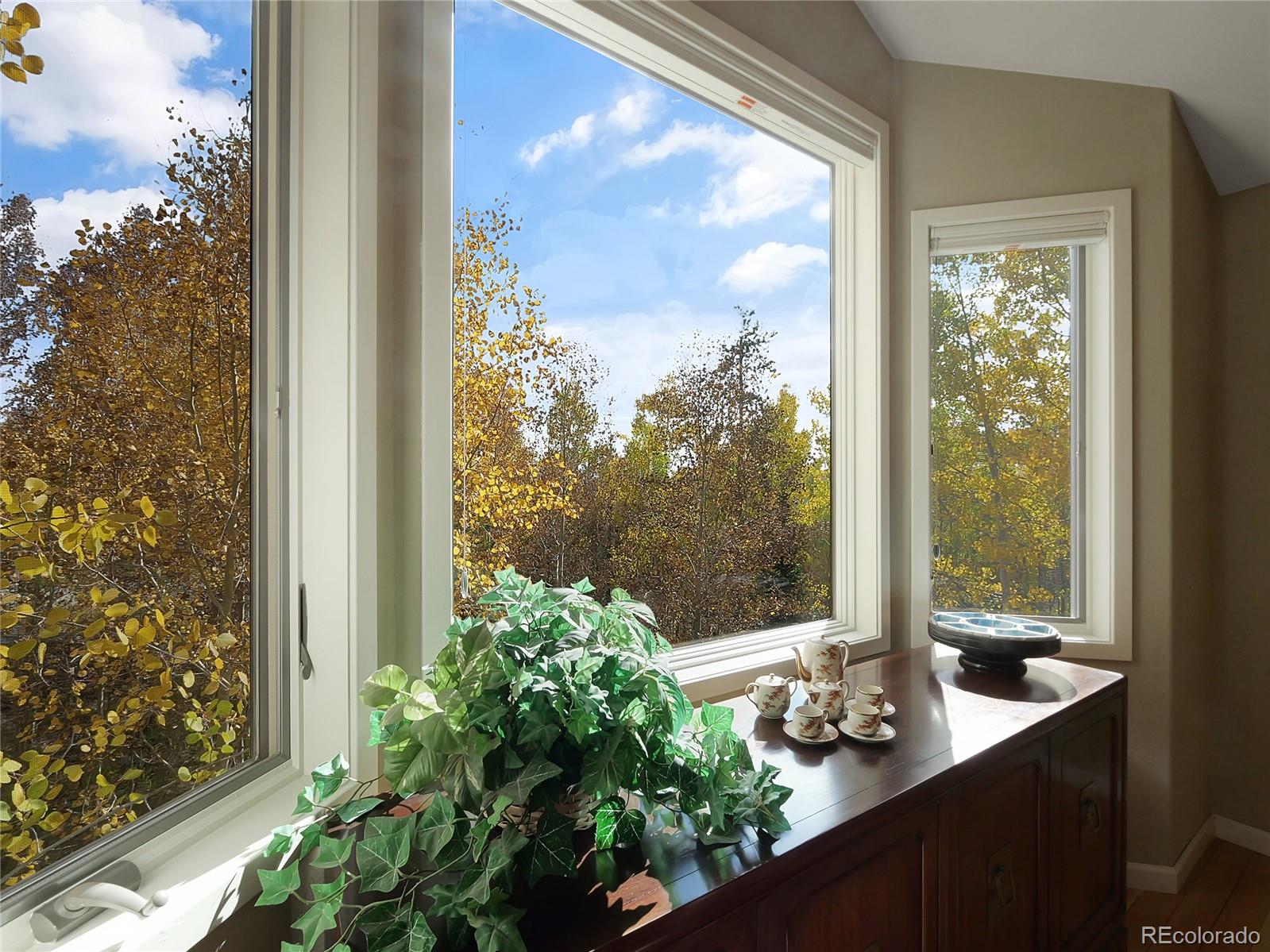 MLS Image #19 for 28  sky pilot drive,silverthorne, Colorado