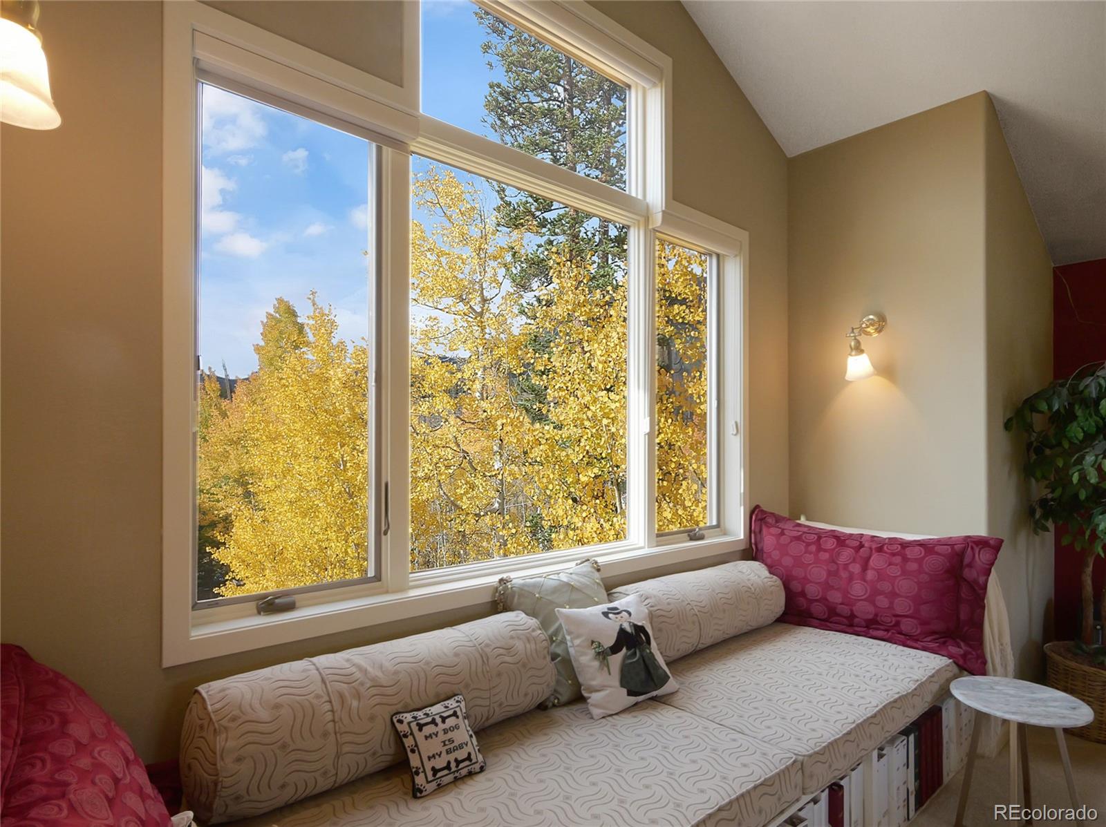 MLS Image #25 for 28  sky pilot drive,silverthorne, Colorado