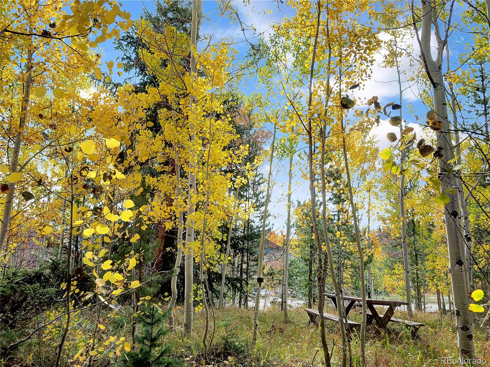 MLS Image #40 for 28  sky pilot drive,silverthorne, Colorado