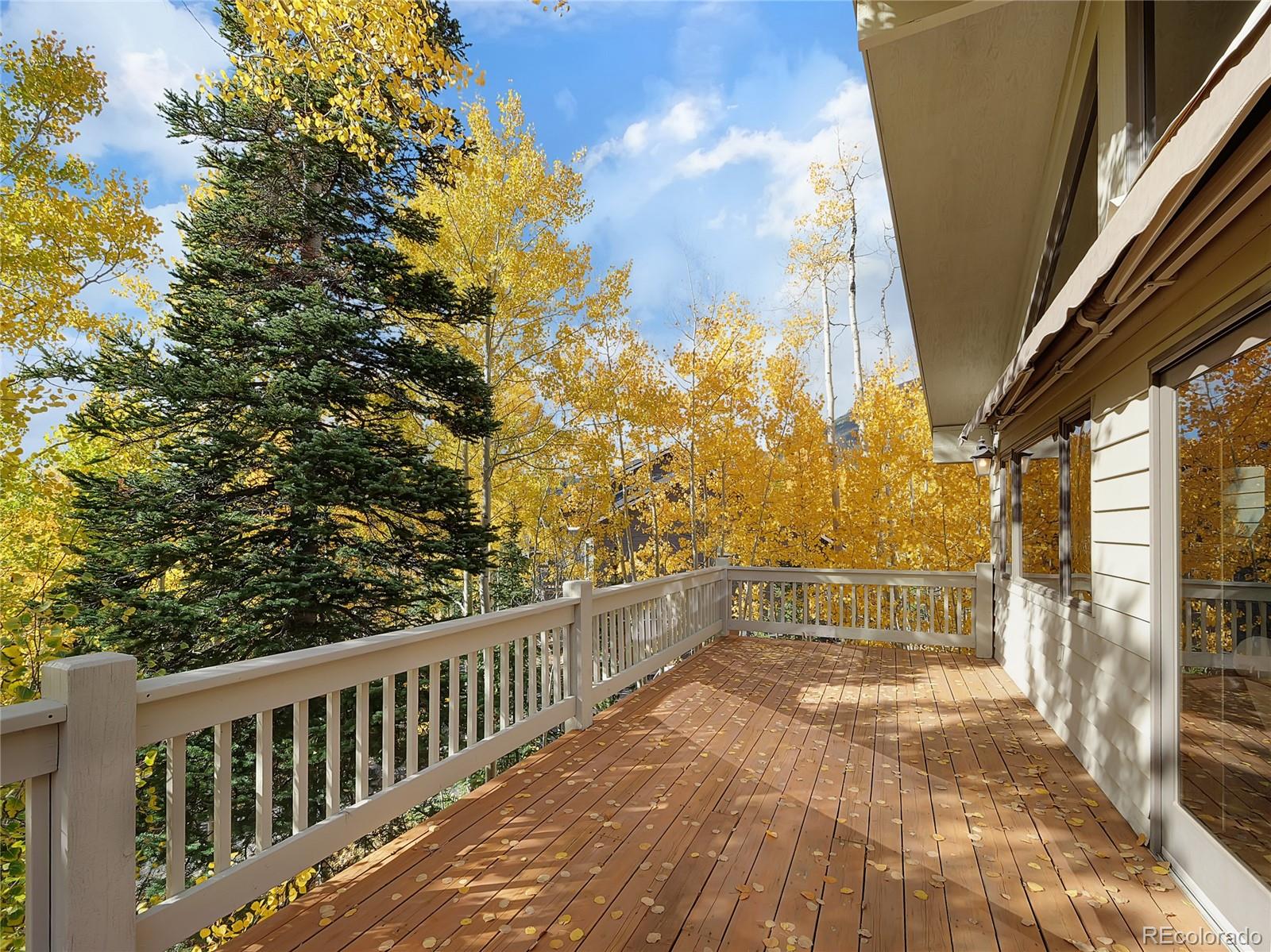 MLS Image #5 for 28  sky pilot drive,silverthorne, Colorado