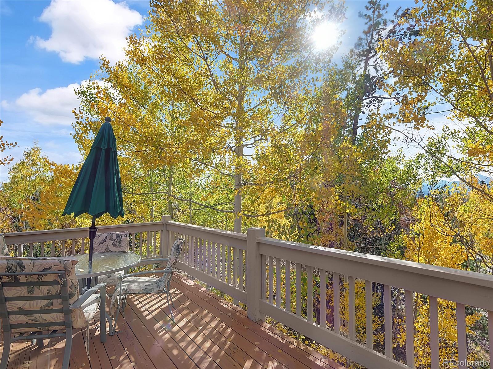 MLS Image #6 for 28  sky pilot drive,silverthorne, Colorado