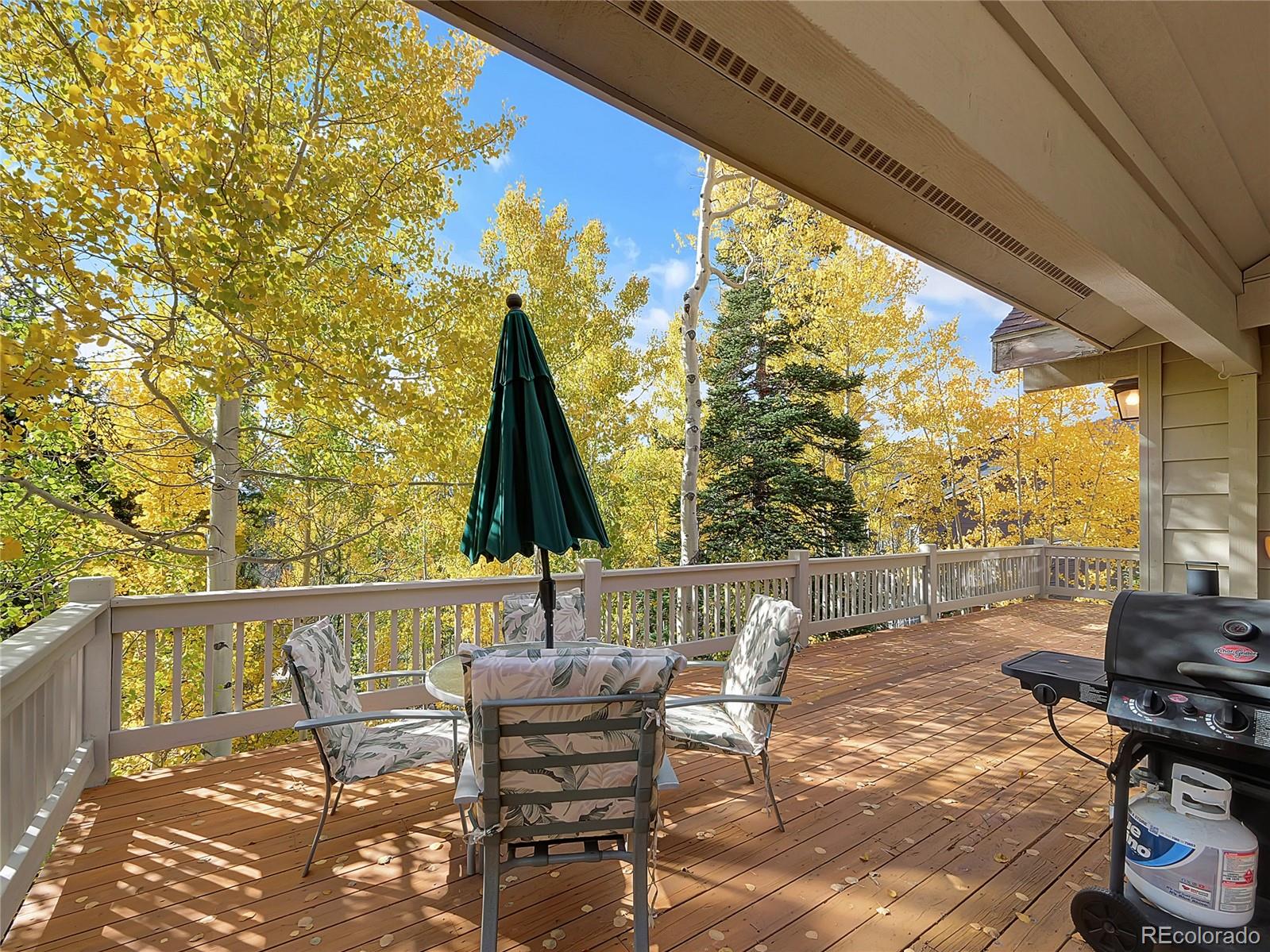 MLS Image #7 for 28  sky pilot drive,silverthorne, Colorado
