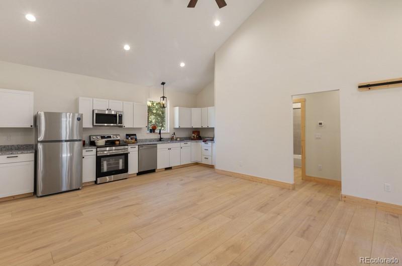 MLS Image #10 for 270  southpark road,florissant, Colorado