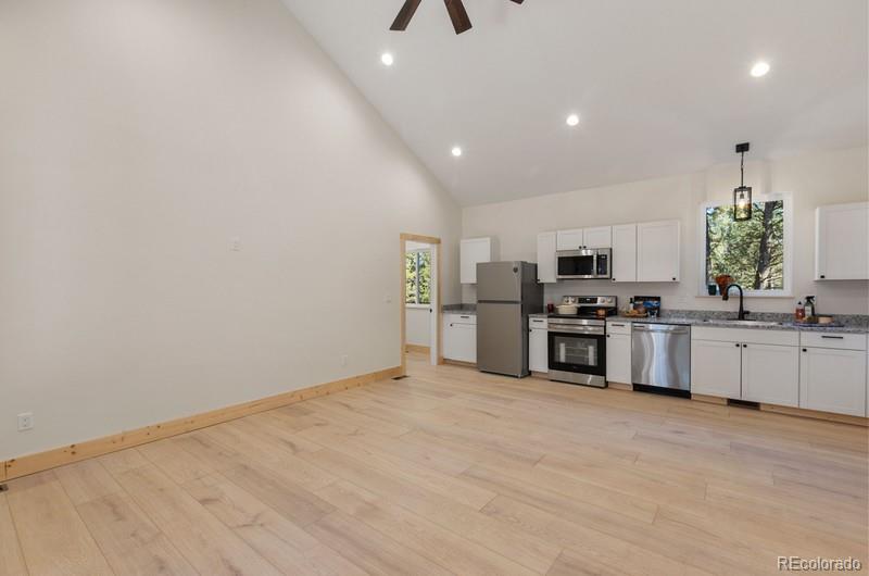 MLS Image #11 for 270  southpark road,florissant, Colorado