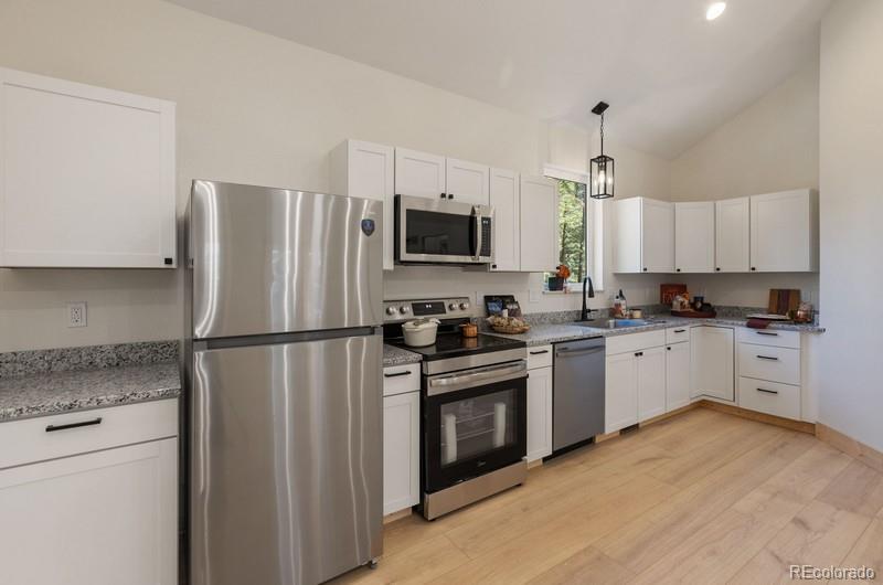 MLS Image #12 for 270  southpark road,florissant, Colorado