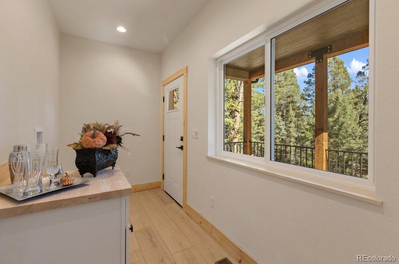 MLS Image #17 for 270  southpark road,florissant, Colorado