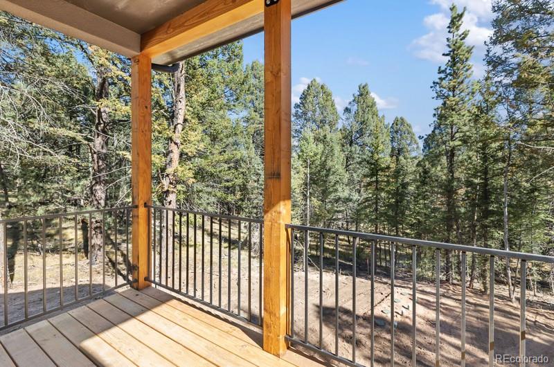 MLS Image #35 for 270  southpark road,florissant, Colorado