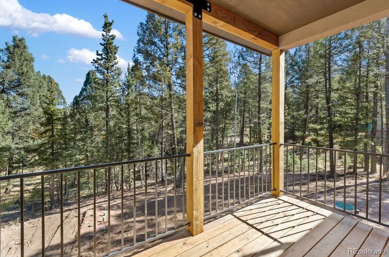 MLS Image #5 for 270  southpark road,florissant, Colorado
