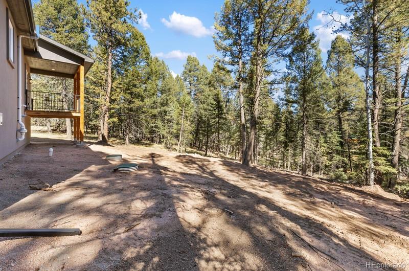 MLS Image #6 for 270  southpark road,florissant, Colorado