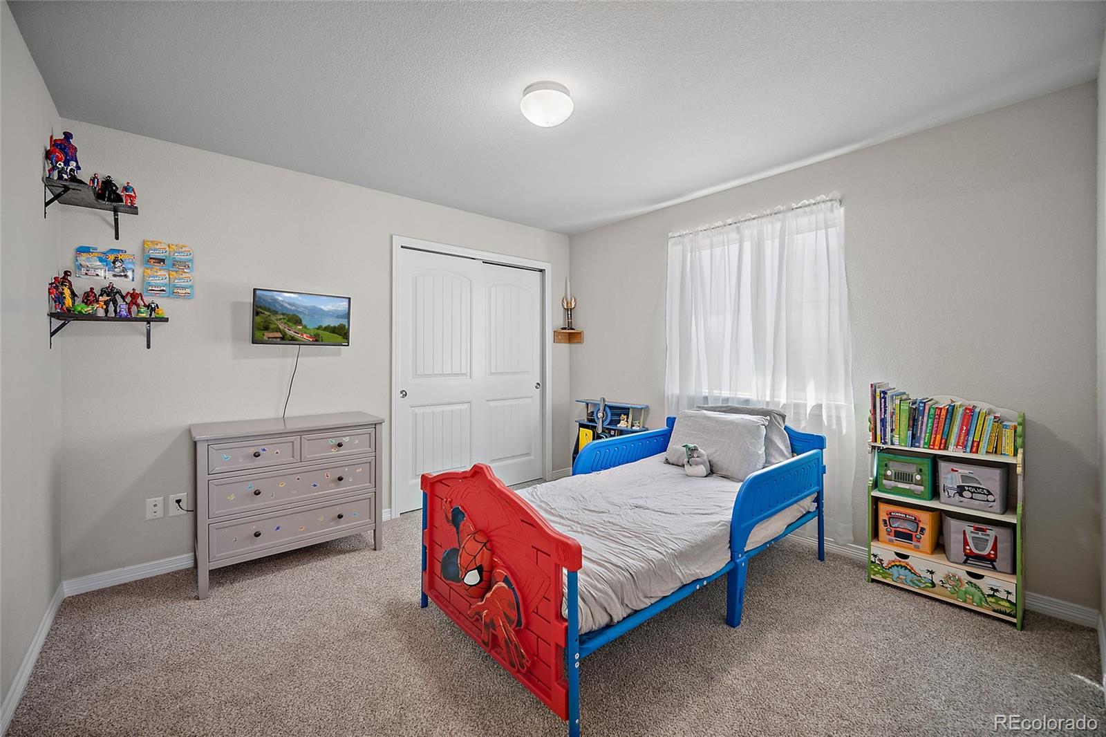 MLS Image #18 for 6579  lamine drive,colorado springs, Colorado