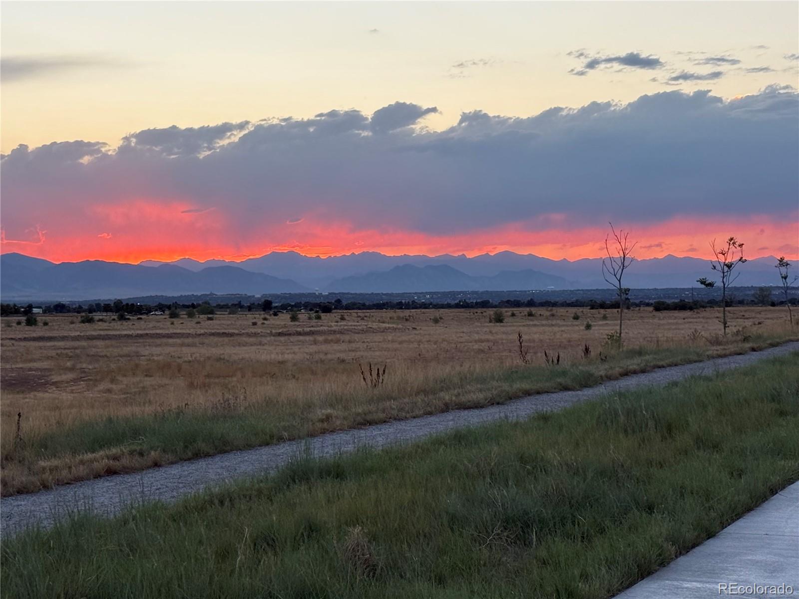 MLS Image #17 for 6300 n dayton court ,denver, Colorado