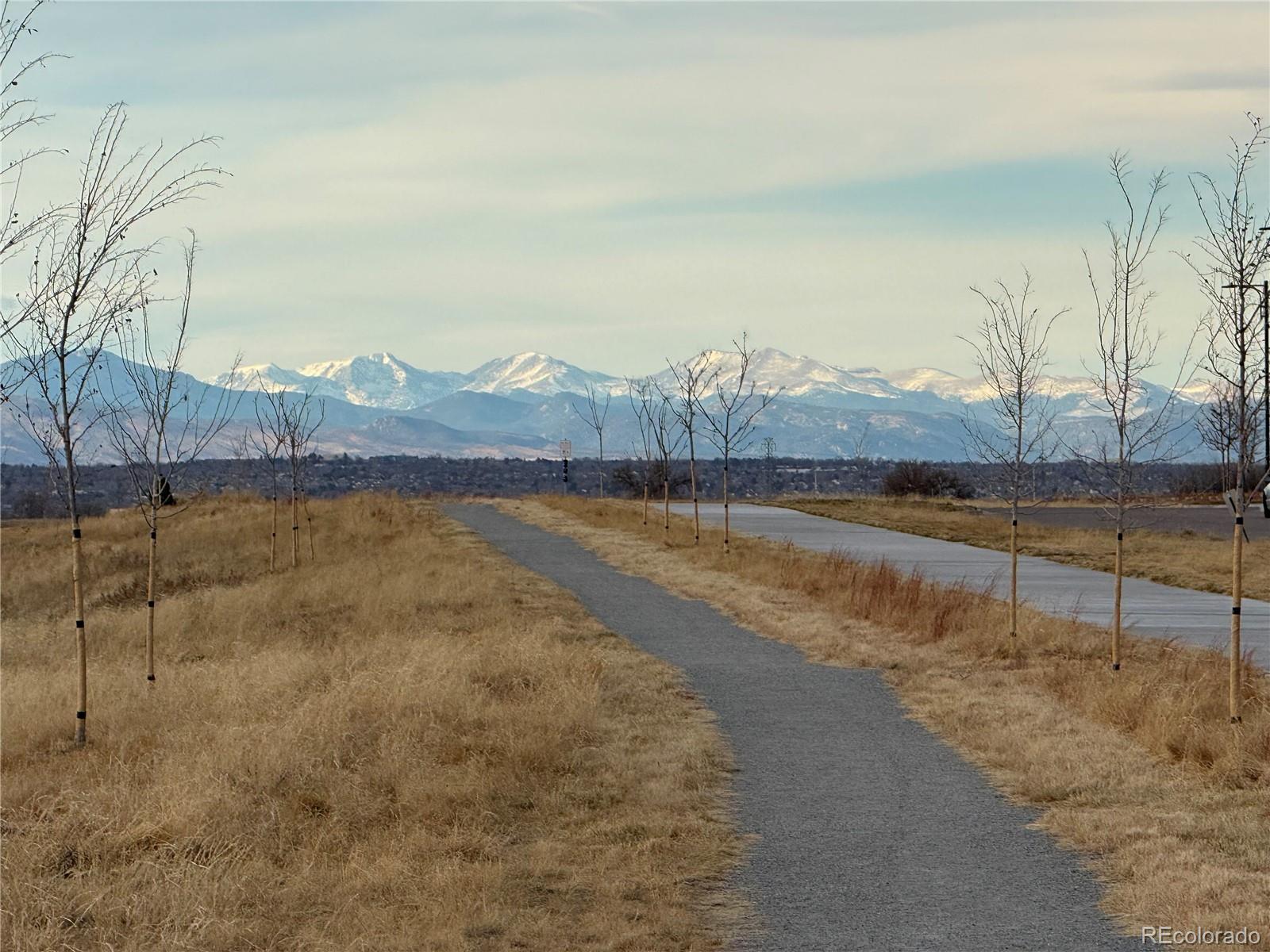 MLS Image #19 for 6300 n dayton court ,denver, Colorado