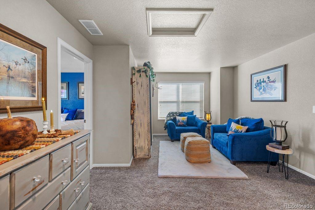 MLS Image #19 for 2001  shadow creek drive,castle rock, Colorado
